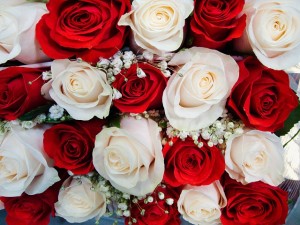 un bouquet de mariée, roses 